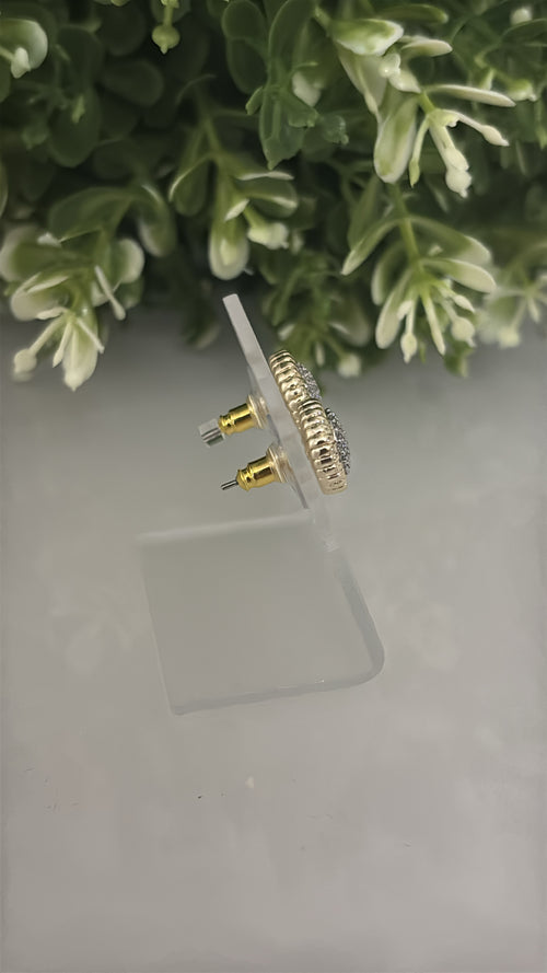 14K  Aretes 2 Tonos